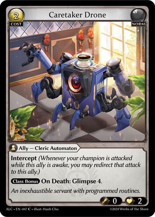 Caretaker Drone