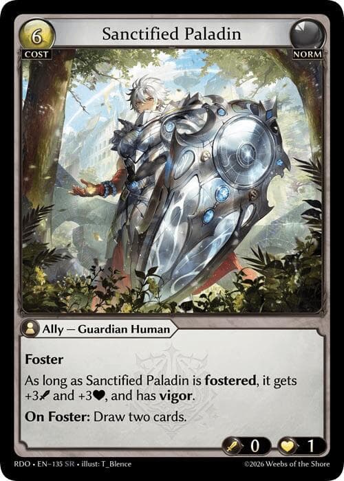 Sanctified Paladin