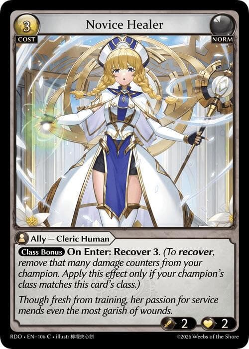 Novice Healer